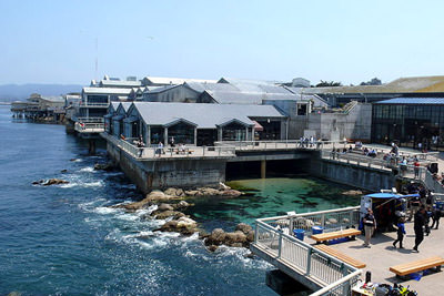 Monterey Bay Aquarium Photo 3
