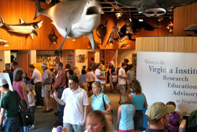Virginia Institute Of Marine Science Photo 3