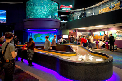 Aquatic Exhibit Design Photo 12
