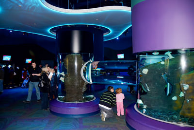 Aquatic Exhibit Design Photo 6
